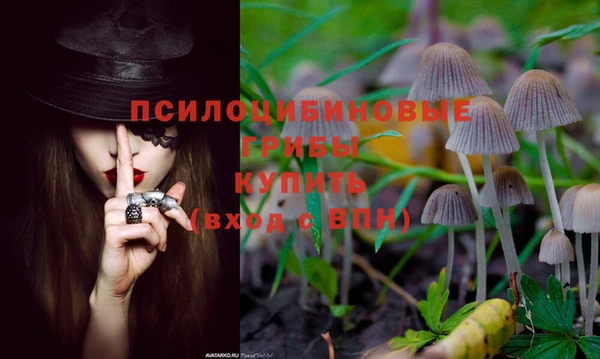 меф Абаза