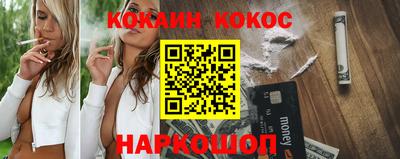 стаф Дубна