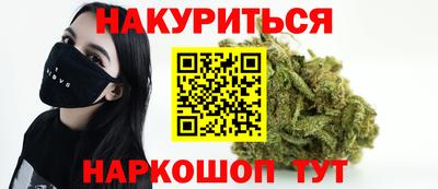 стаф Дубна