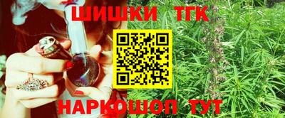 стаф Дубна