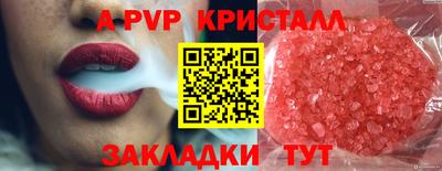 стаф Дубна