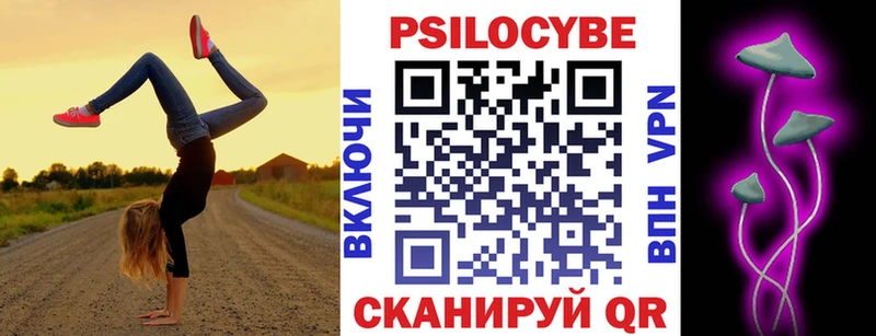 закладки  Кызыл  Псилоцибиновые грибы GOLDEN TEACHER 