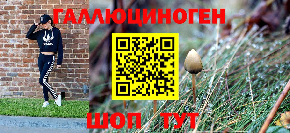 как найти   Псилоцибиновые грибы ЛСД  Вход с VPN  Кызыл  Галлюциногенные грибы ЛСД 